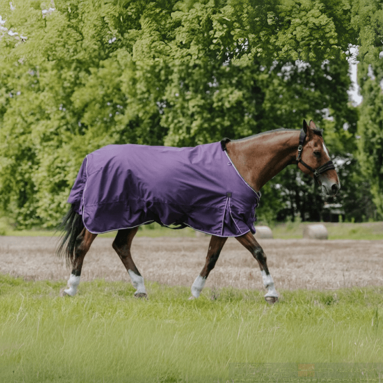 Equithème Turnout Rug Tyrex Aisance 600D 0g