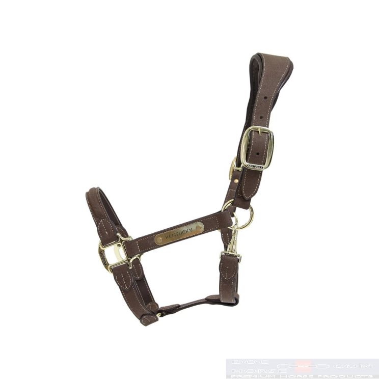 Kentucky Halster Suede