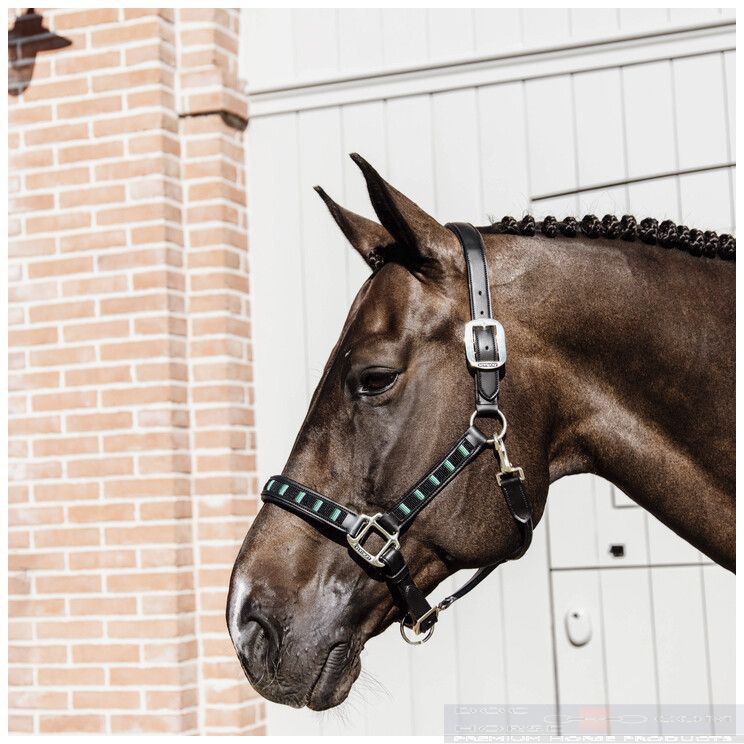 Kentucky Halster Pearls