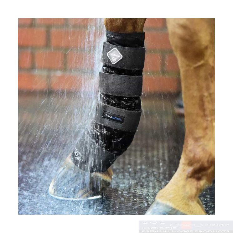 Lemieux Procool Cold Water boots