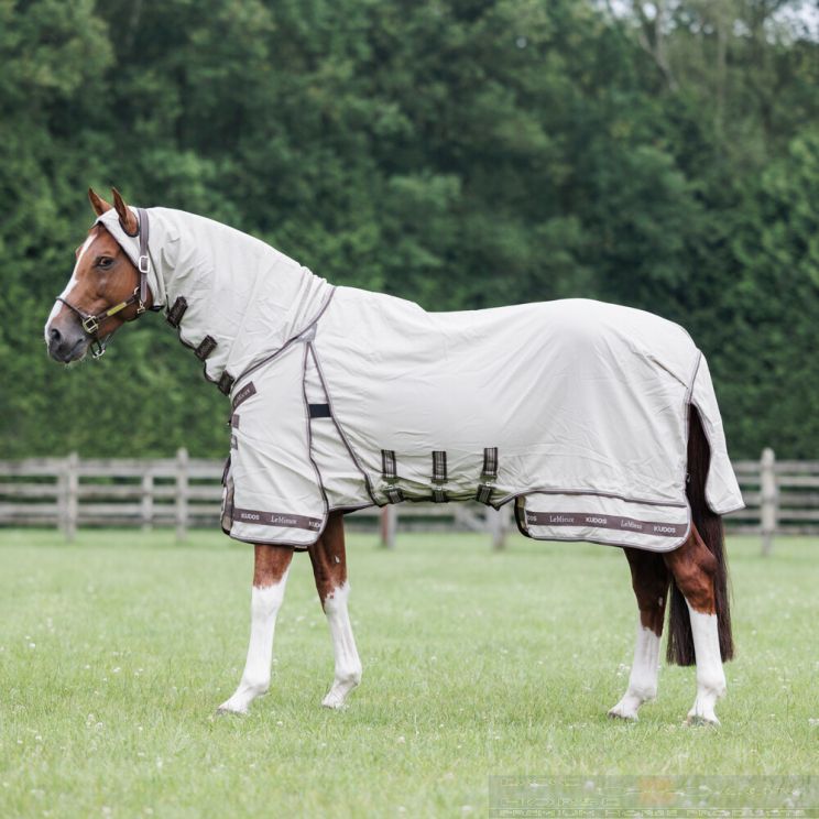 Lemieux eczeemdeken Kudos