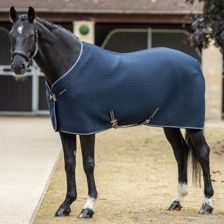 Lemieux Kudos Travel Rug 3D Mesh Navy