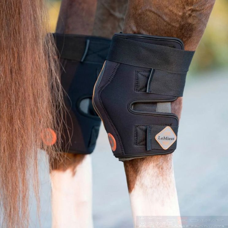 Lemieux Conductive Magno Hock Boots