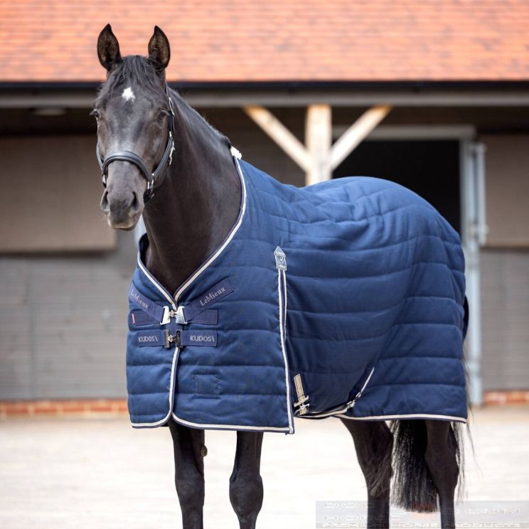 Lemieux Kudos Stable Rug 200g