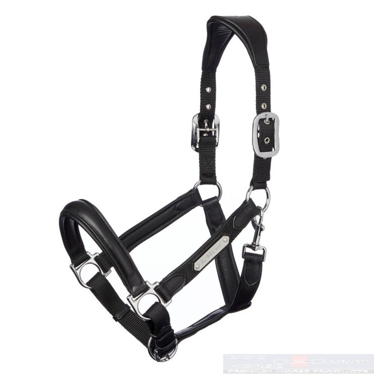 Lemieux Halster Capella