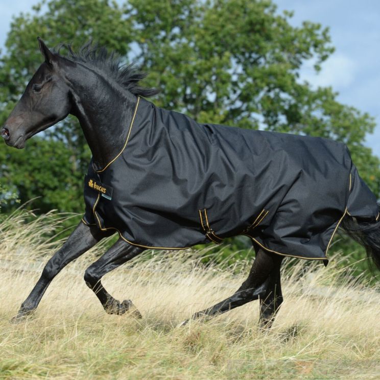 Bucas Irish Turnout High Neck 300GR