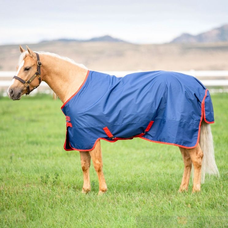 Amigo Mio Turnout Rug Blue