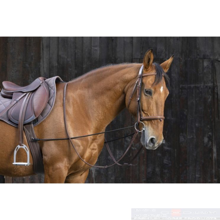 Norton Elastic Training Reins