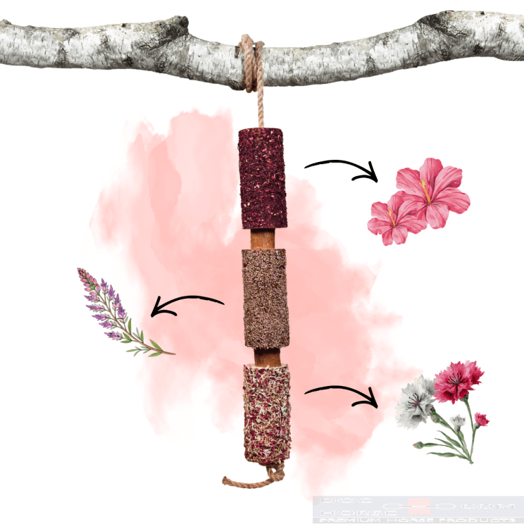 Candy Horse Wooden Toy Full of Love