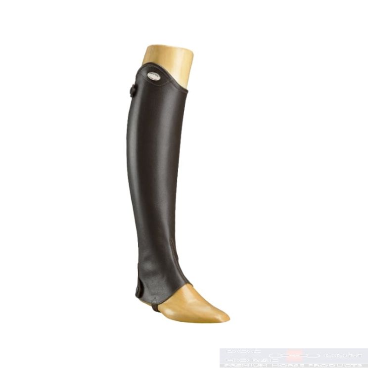 Parlanti chaps bruin