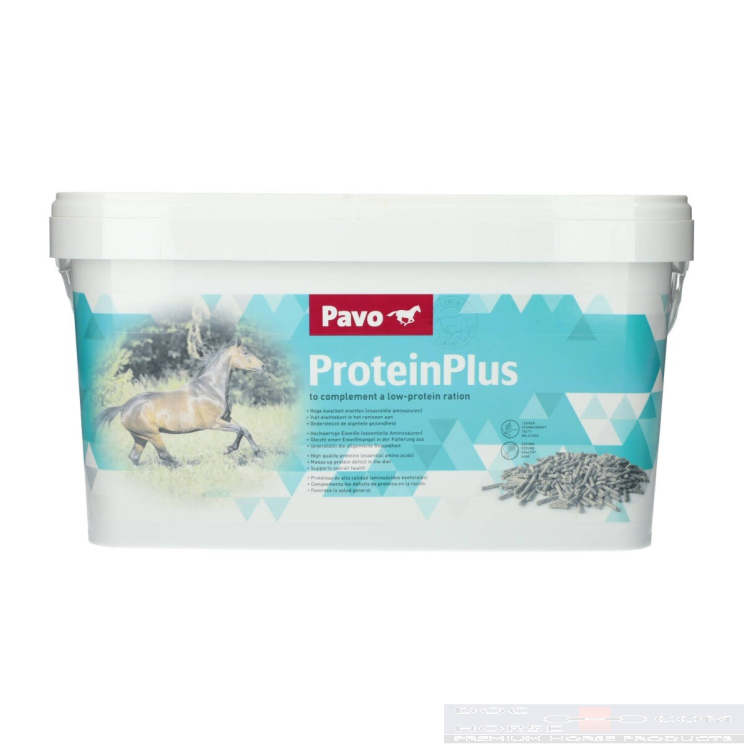 Pavo Proteinplus