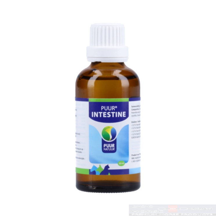 Puur Intestine