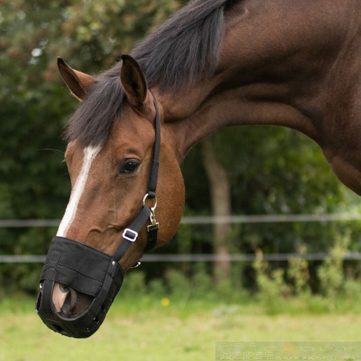 QHP Graasmasker met neusgaten