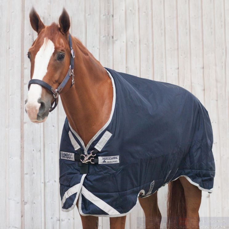 Rambo Original Medium