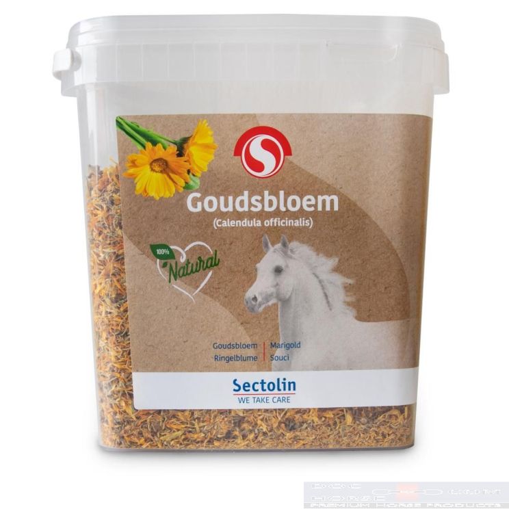 Sectolin Goudsbloem