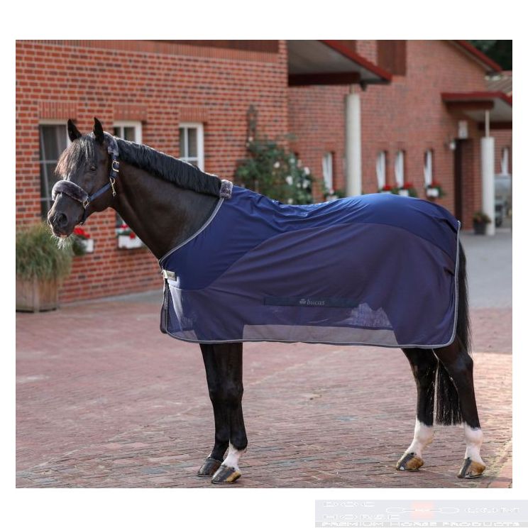 Bucas Show-Line Competition Cooler 