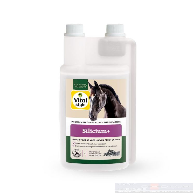 Vitalstyle Silicium+