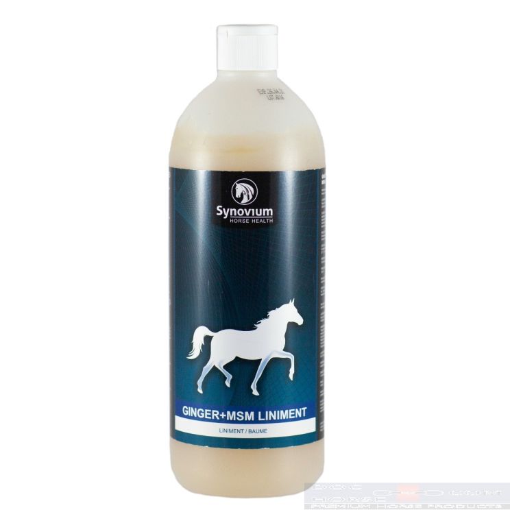 Synovium Ginger msm