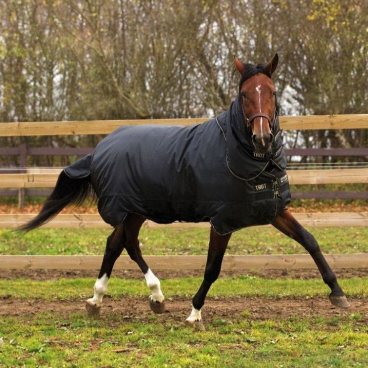 Horseware Turnout Trot Plus 350g