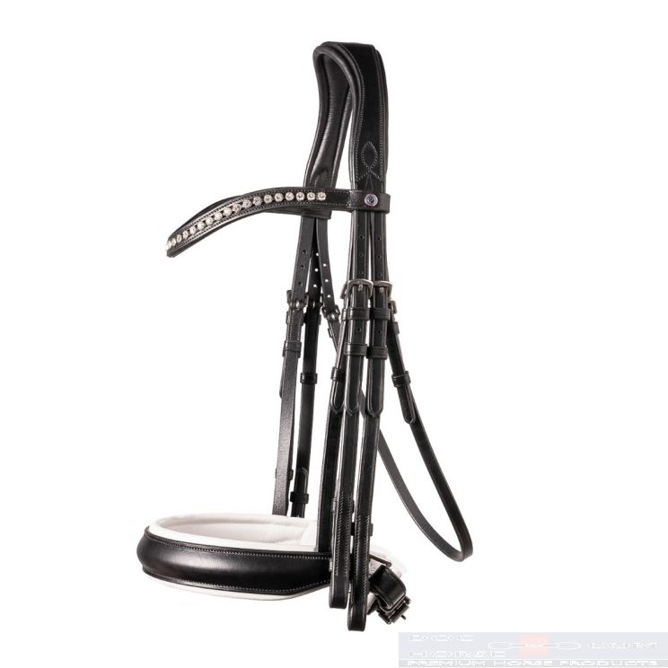 Trust Stang en Trens Hoofdstel Wellington