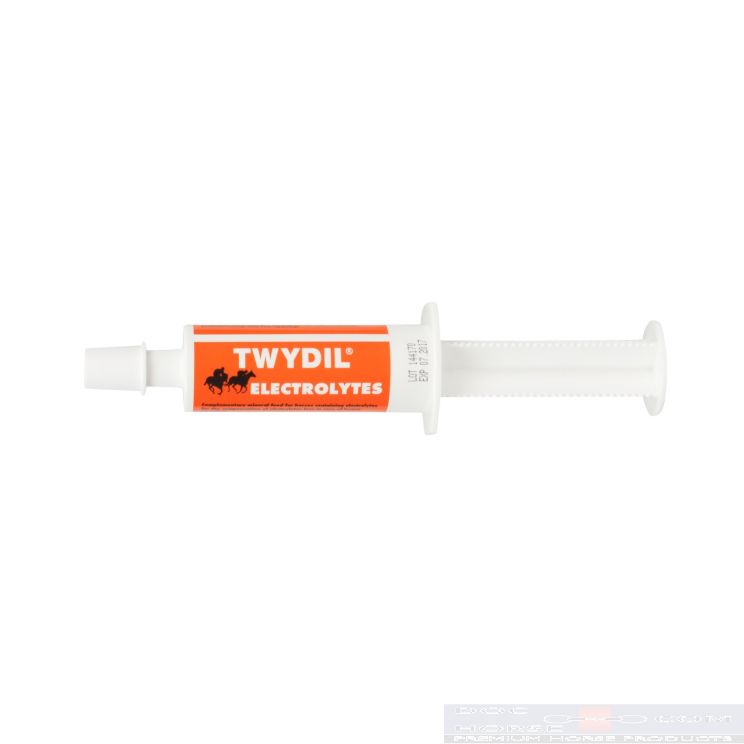 Twydil Electrolytes Pasta
