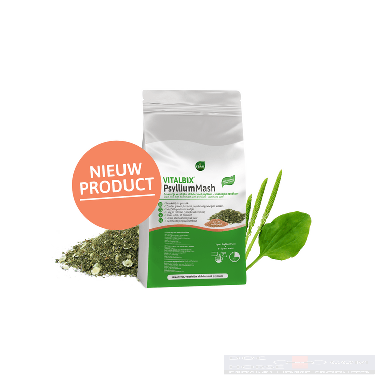 Vitalbix PsylliumMash