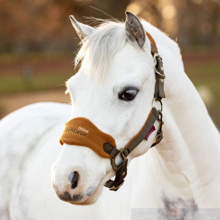 Lemieux Vogue Headcollar & leadrope Super Mini Alpine