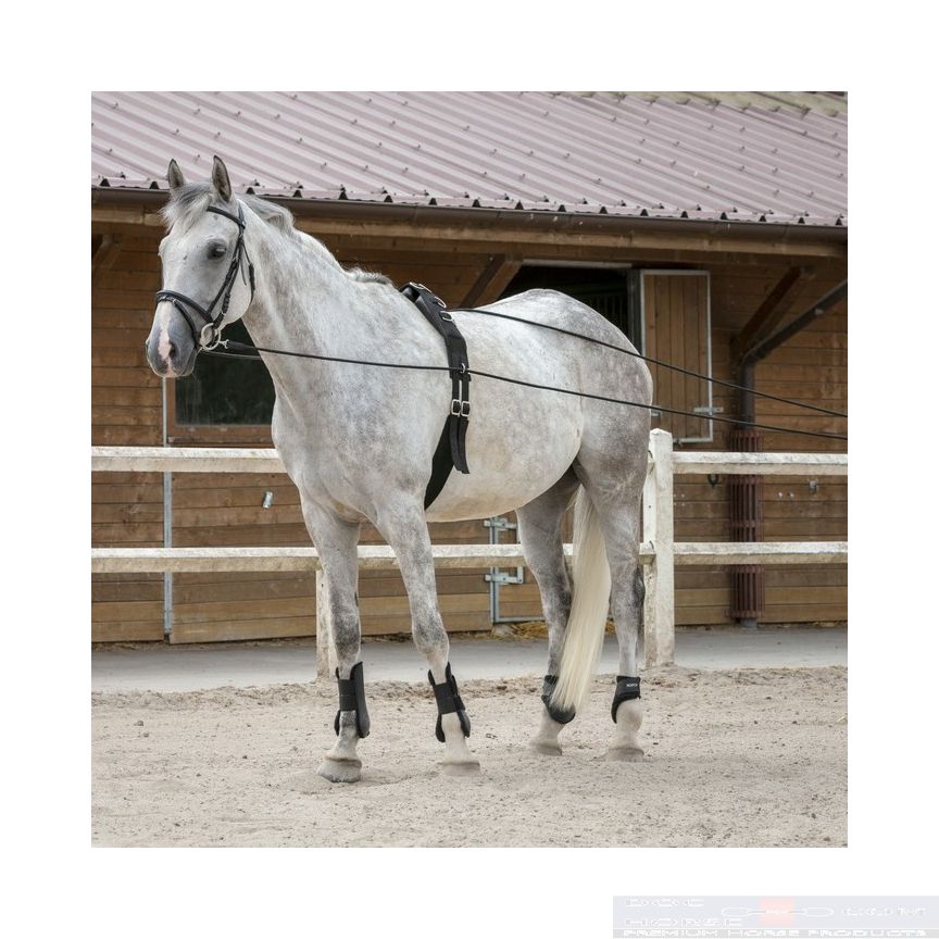 Riding World Long Reins