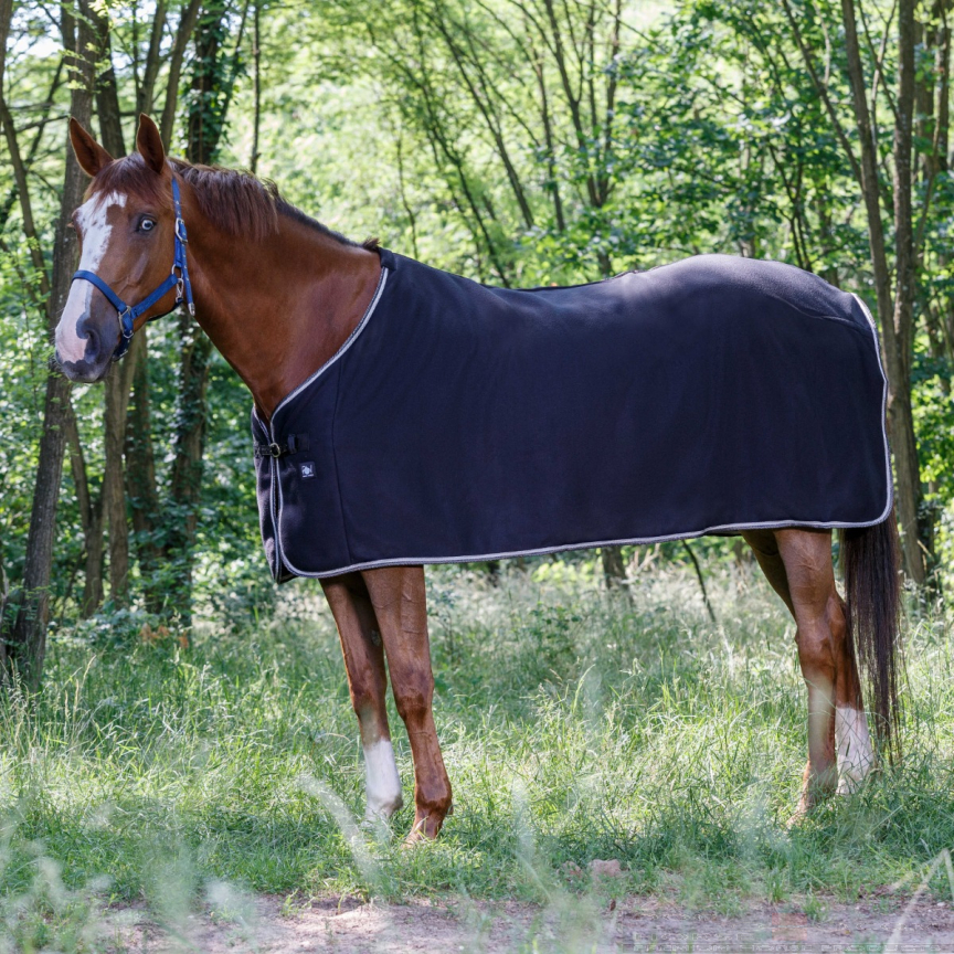 Riding World Fleece Rug Polar
