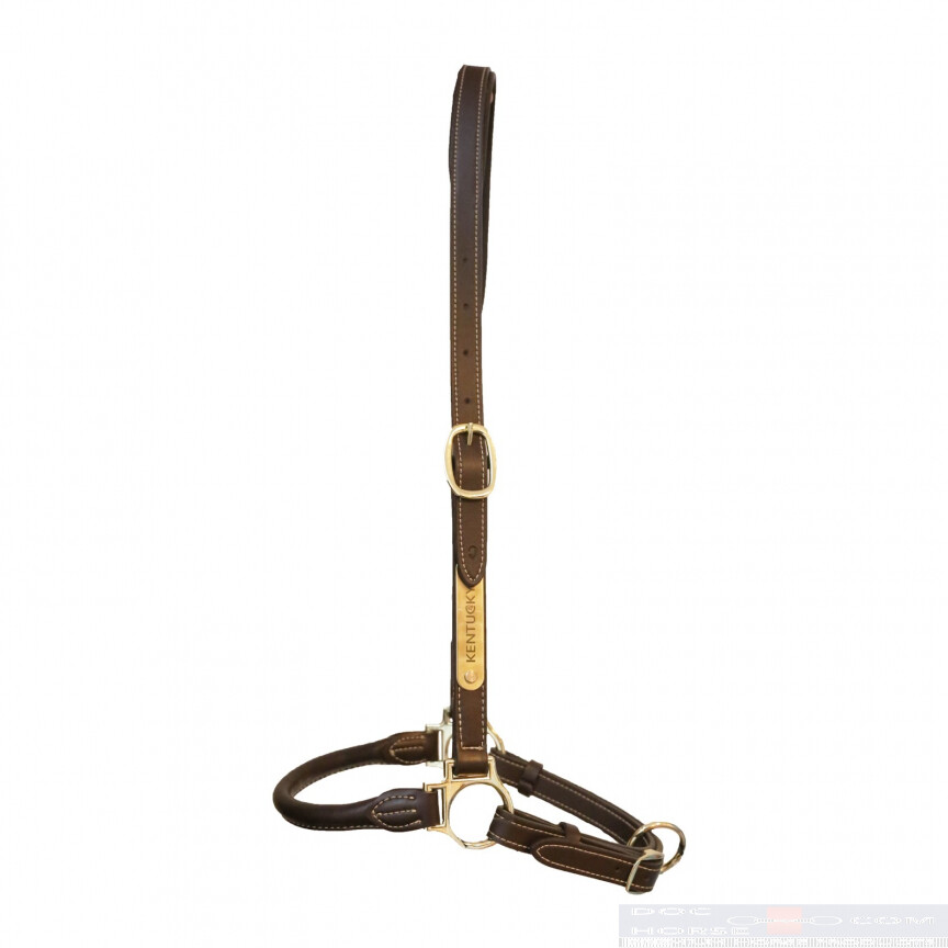 Kentucky Grooming Halter