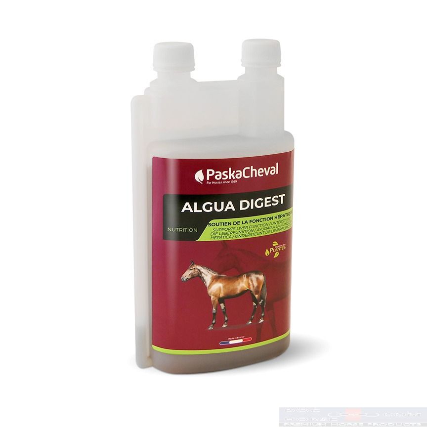 PaskaCheval Algua Digest