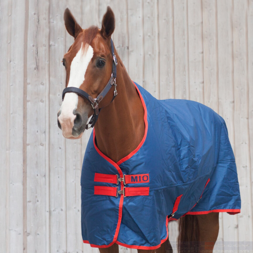 Amigo Mio Turnout Lite