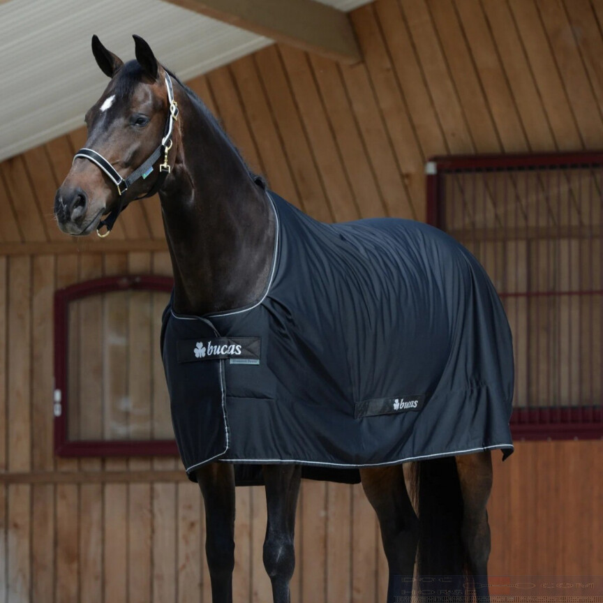 Bucas Shamrock Power Black