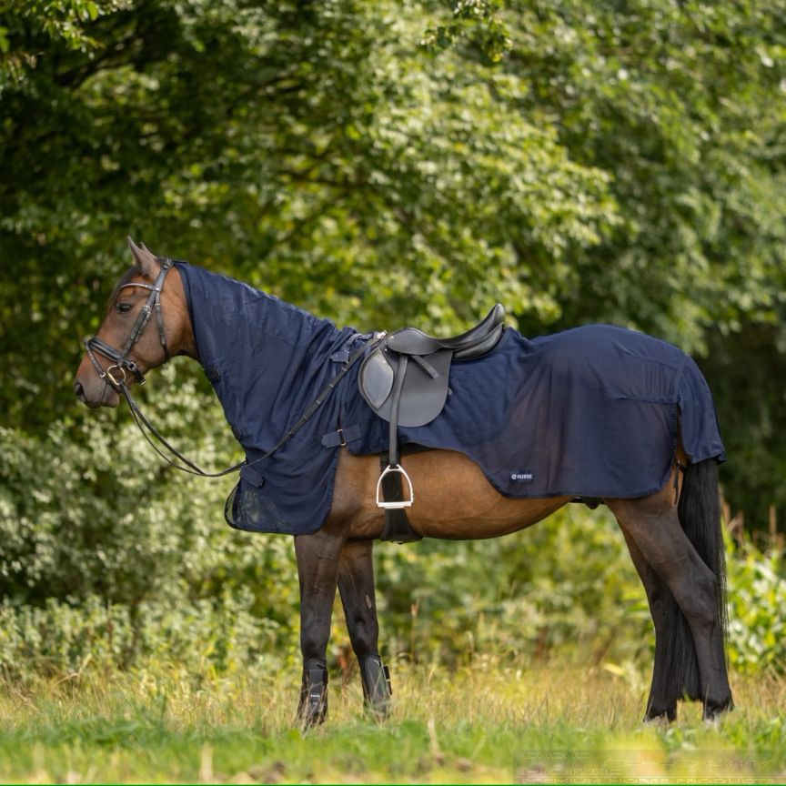Busse Fly Sheet Exercise III