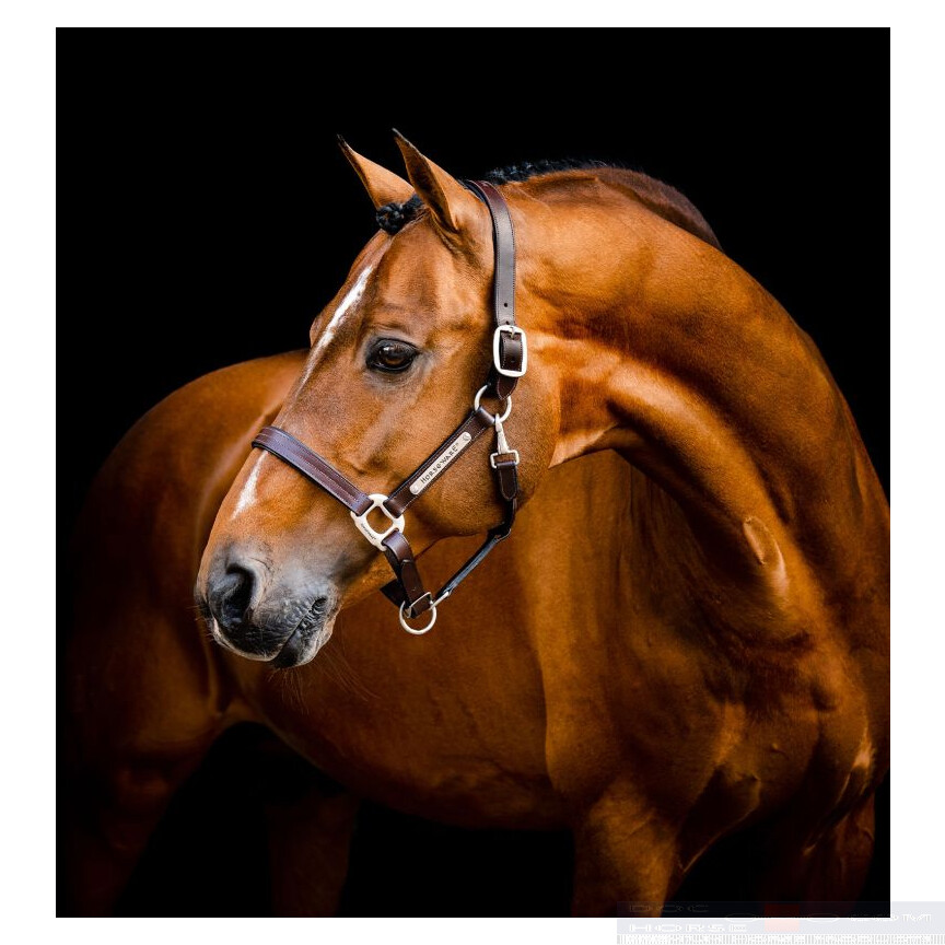 Horseware Signature Leather Headcollar Brown