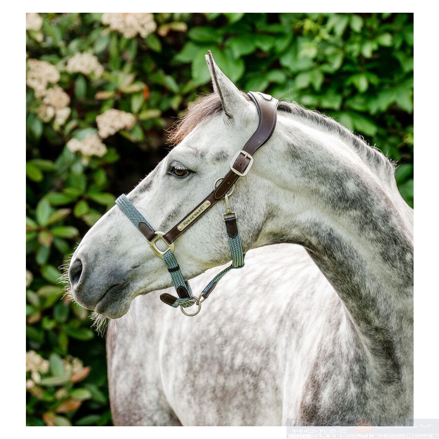 Horseware Signature Braided Headcollar Brown/Navy & Blue Haze