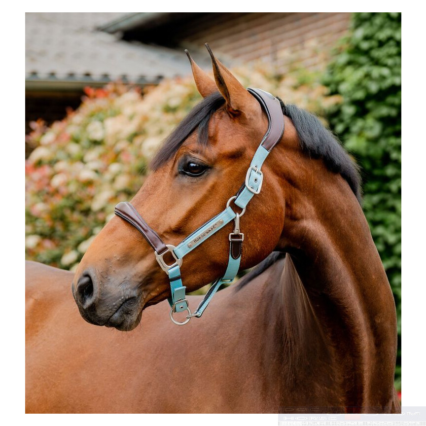 Horseware Signature Competition Headcollar Brown / Blue Haze