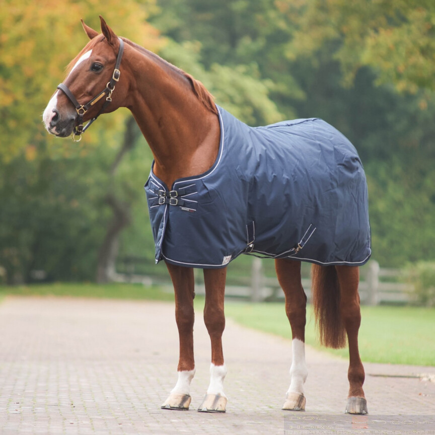 Dominick Stable Rug