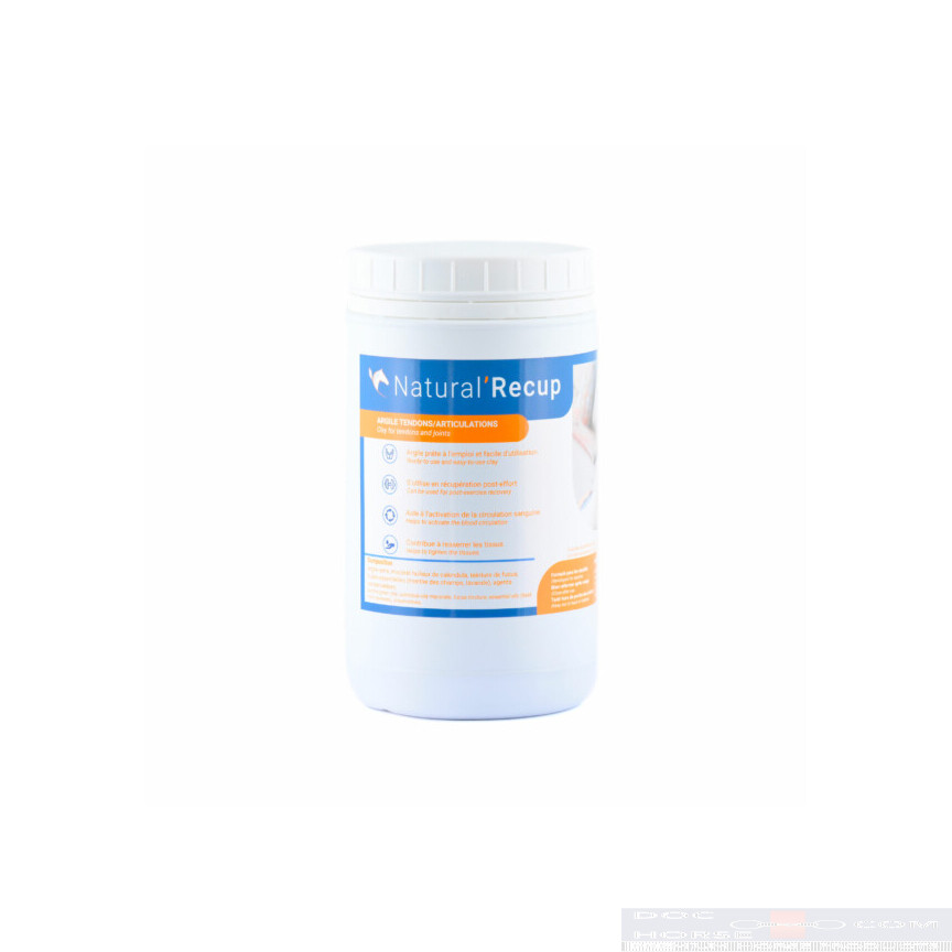 Natural Innov Natural Recup 1.3KG