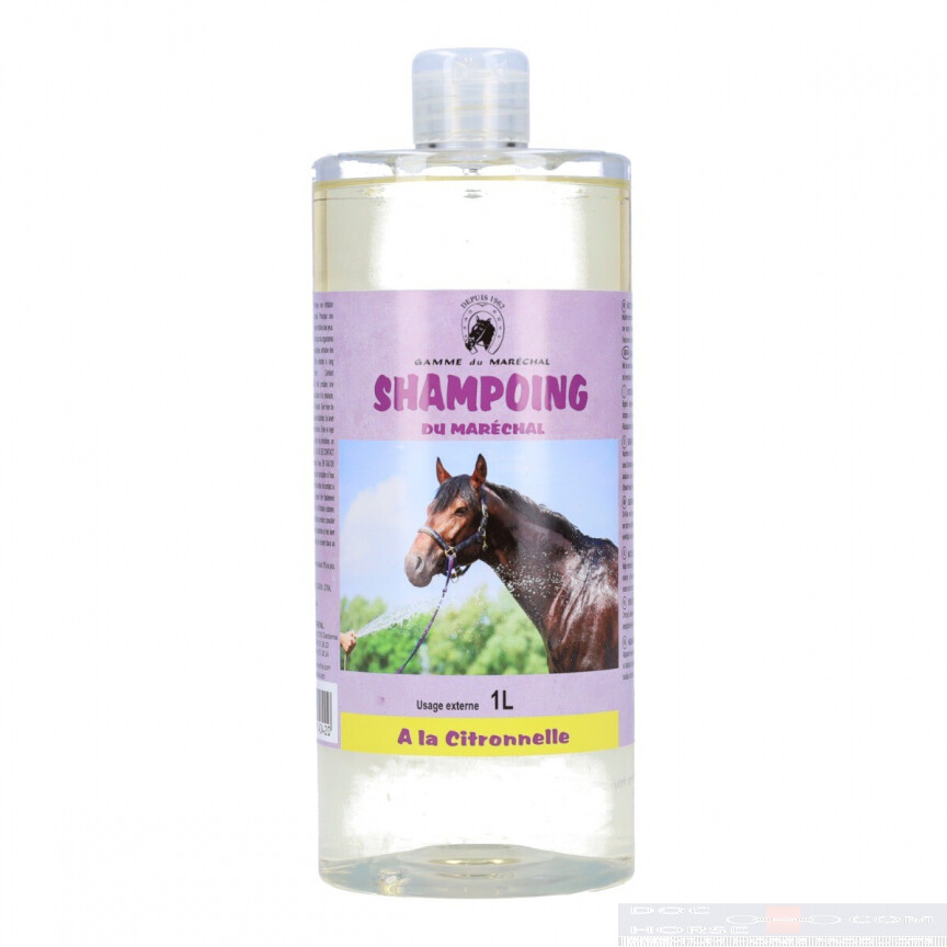 ODM Citronella Shampoo