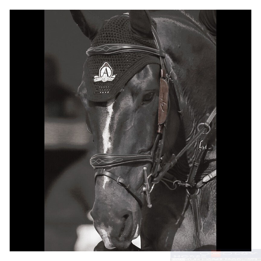 Dy'on Blinkers