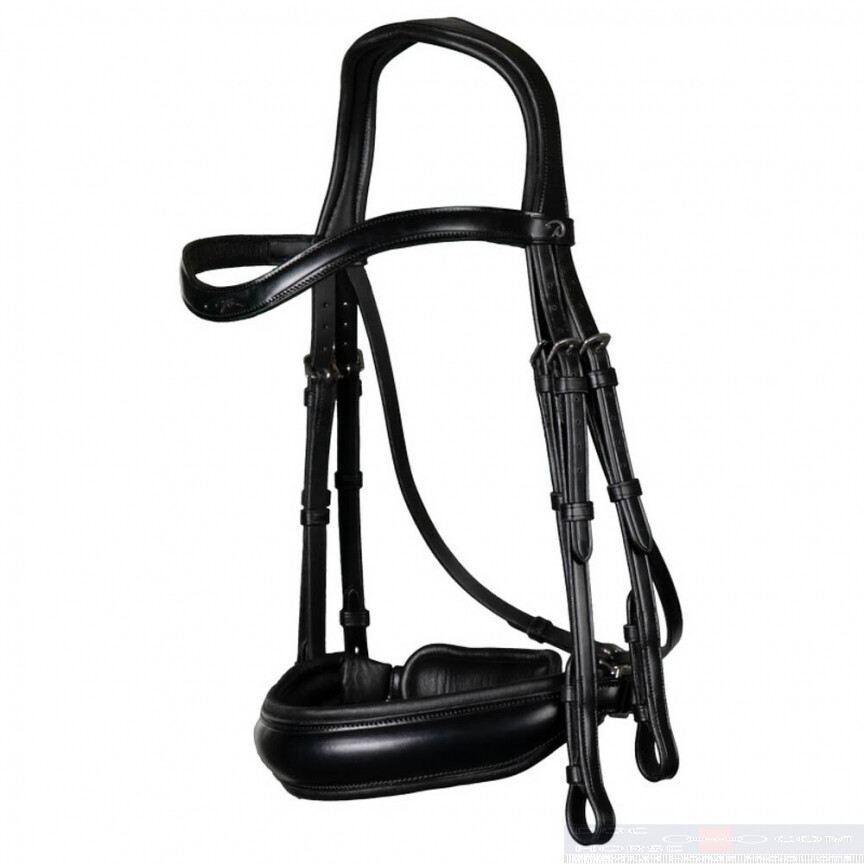 Dyon Stang en Trens Hoofdstel