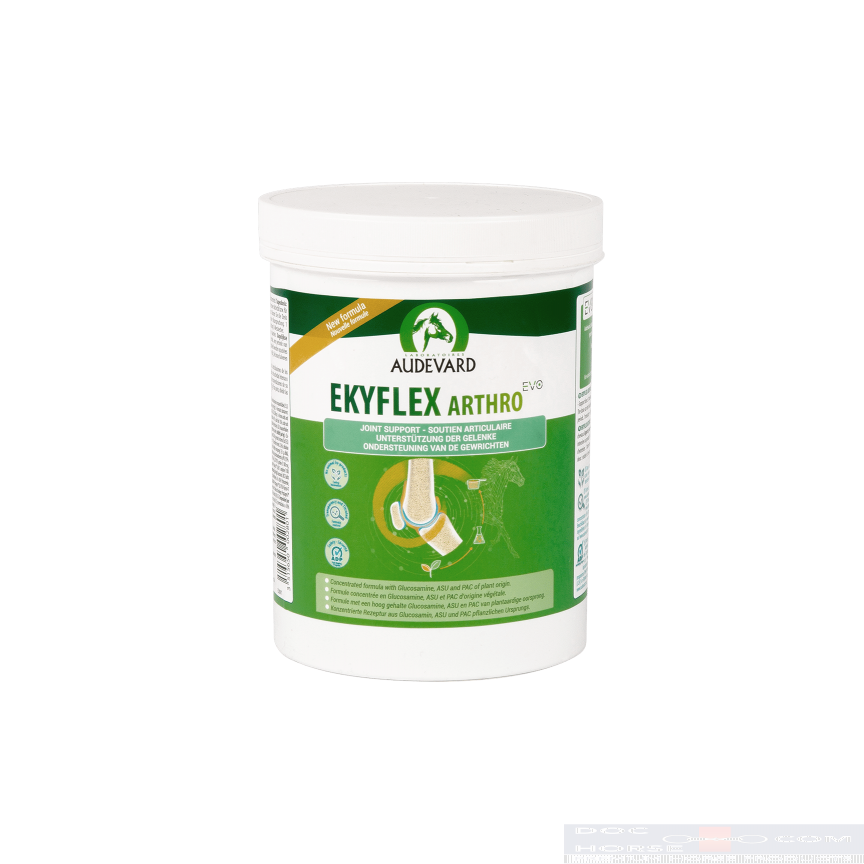Audevard Ekyflex Arthro EVO