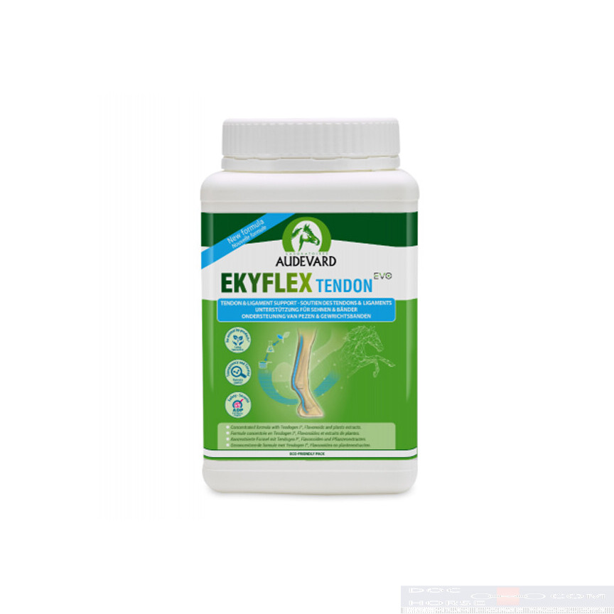 audevard ekyflex tendon evo