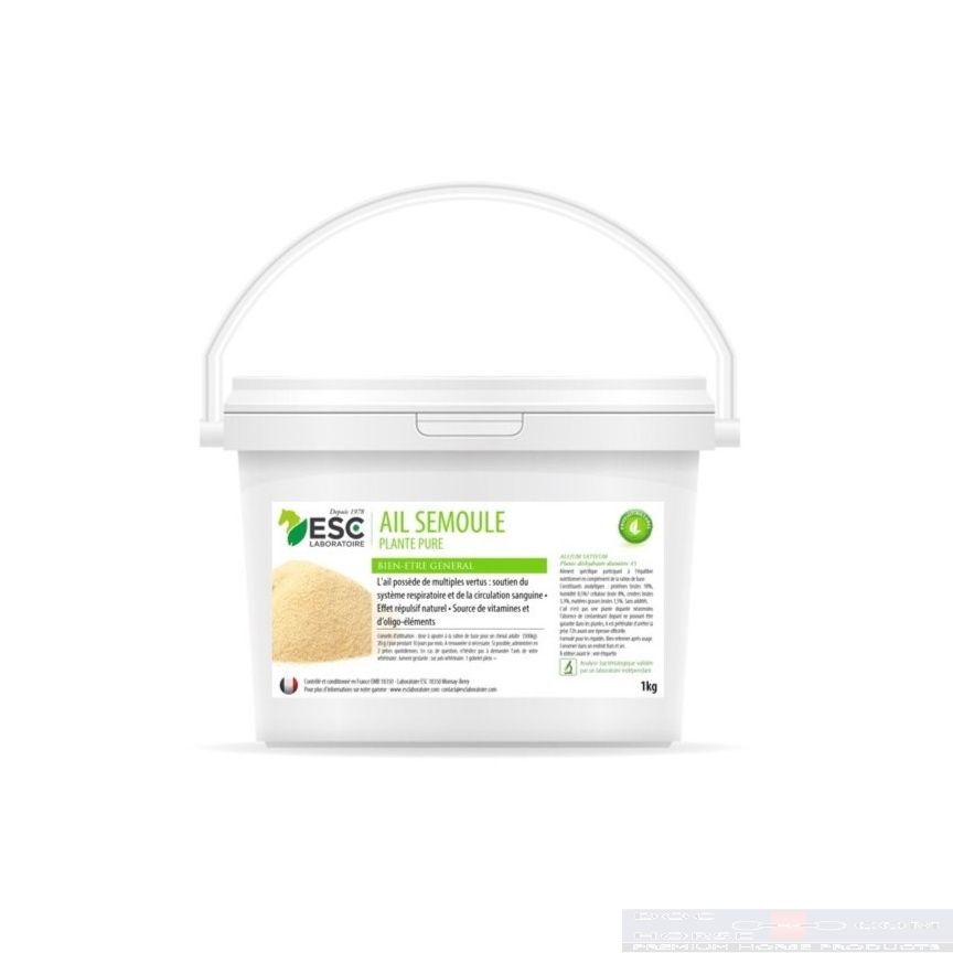 ESC Ail Semoule