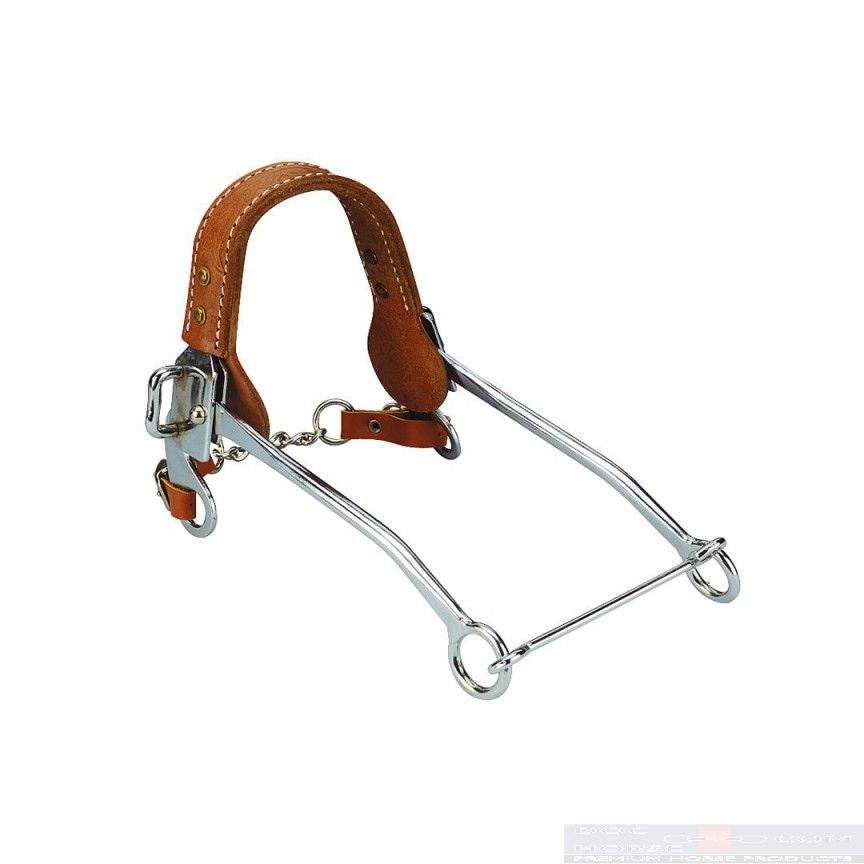 Feeling Hackamore