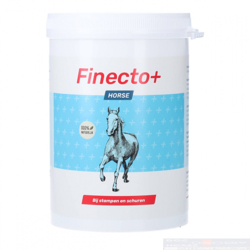 Finecto Horse