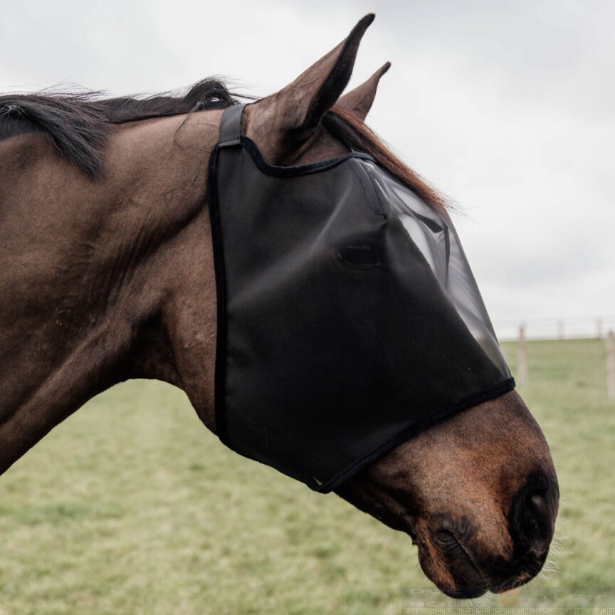 Kentucky fly mask without ears