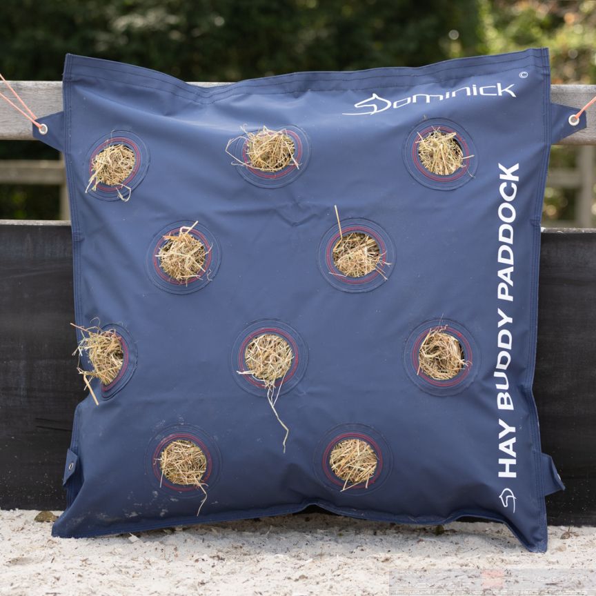 Dominick Hay Buddy Paddock Front