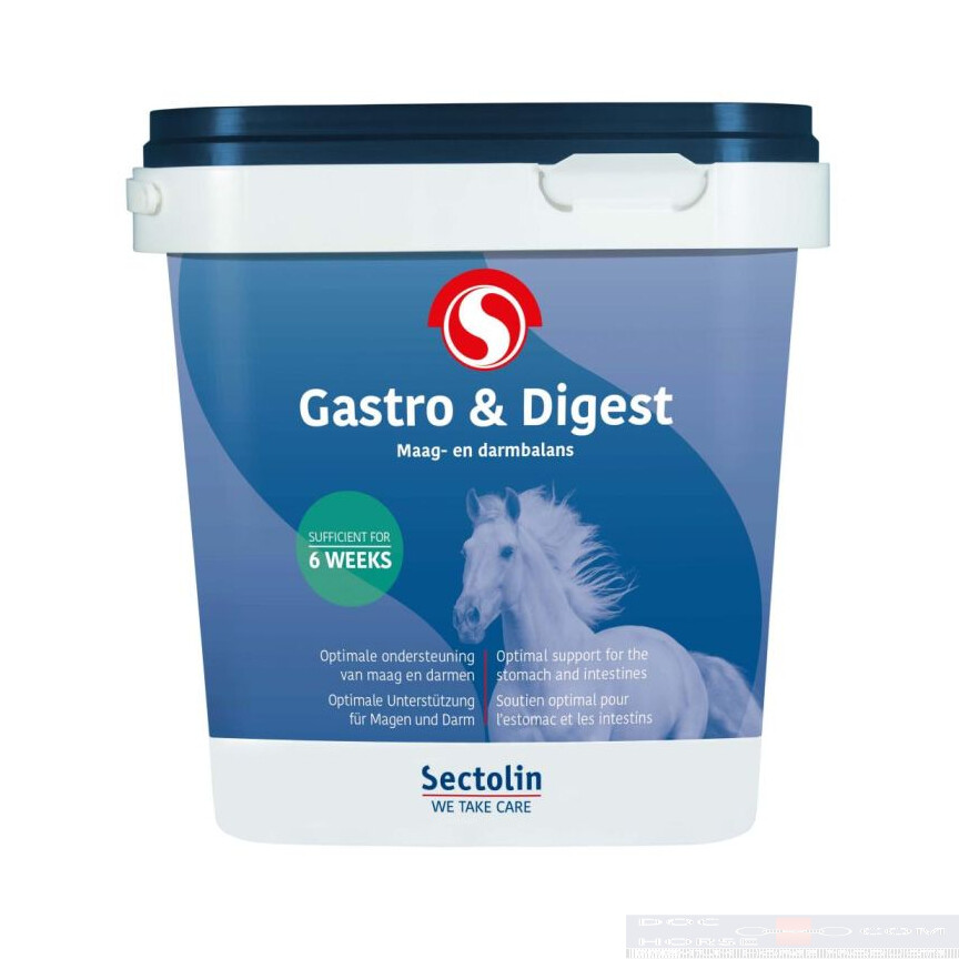 Sectolin Gastro & Digest